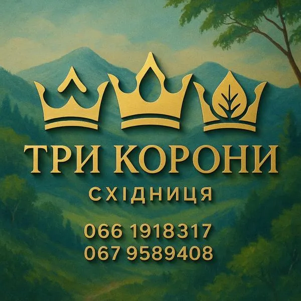 Hotel Three Korony, hotel u gradu Shidnjica