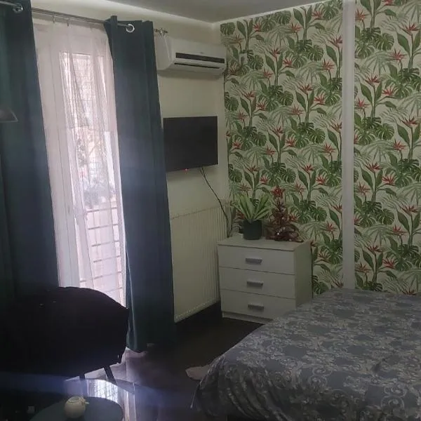 Nena Studio, hótel í Jagodina