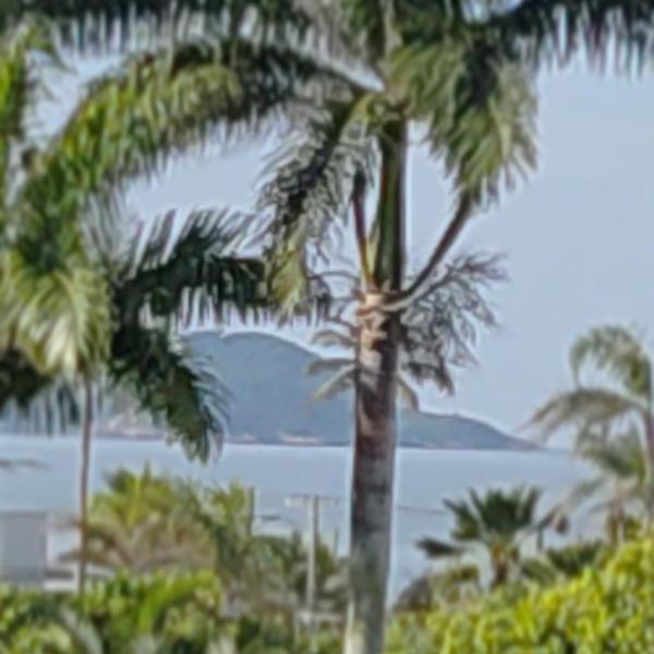 Guarujá-Praia Enseada - 200 metros da praia - Apartamento inteiro - WI-FI - Foto 2