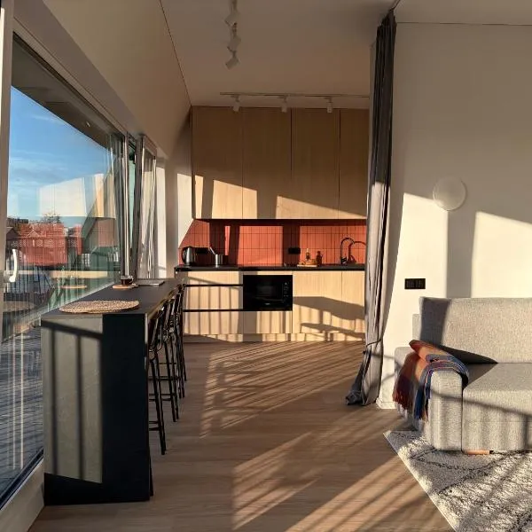 Designer Penthouse with Huge Terrace & Fast Wi-Fi, hotel in Kaunas
