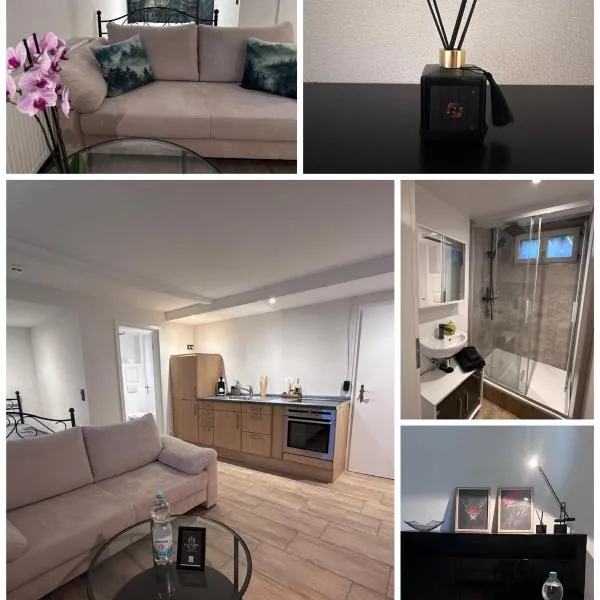 Pendler Montagewohnung Kandern, Lörrach, Basel D,CH, FR、Holzenのホテル