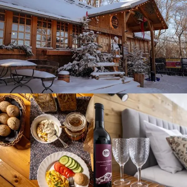 Gospoda Dębowiec520, hotel in Bielsko-Biala