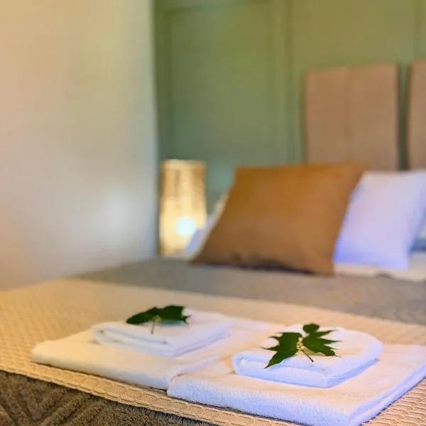 Villa Barroca Lofts, hotel i São João del Rei
