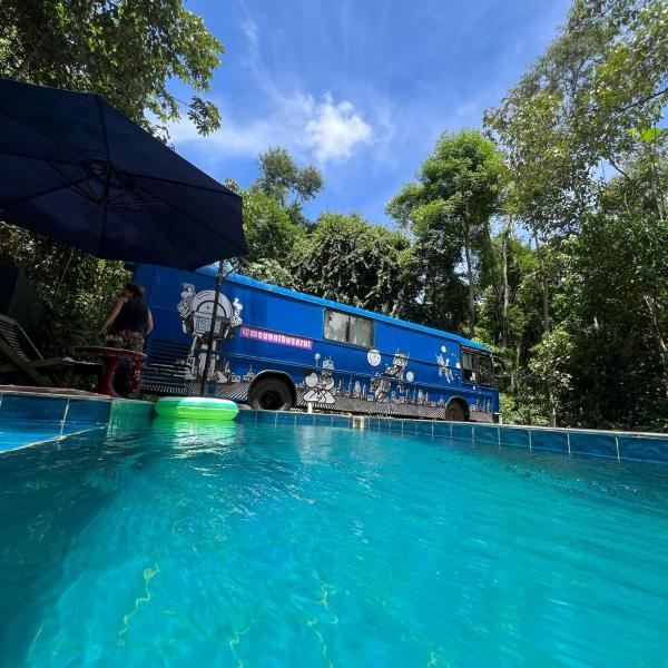Ônibus Azul - Experiência de Hospedagem em Domingos Martins