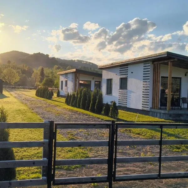 F A N BunGALow Vama Buzăului, hotel in Vama Buzăului