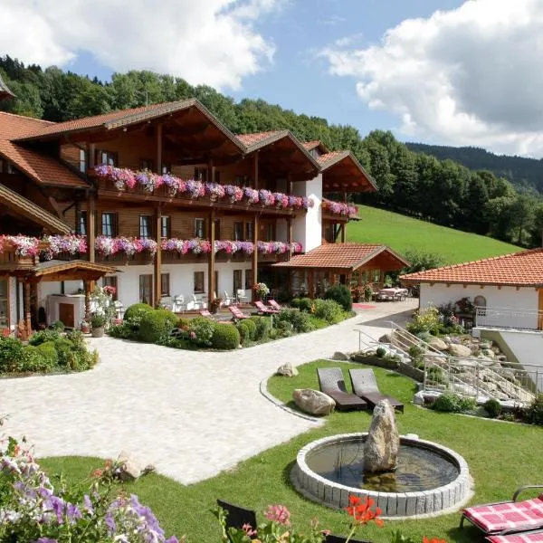 Musik - und Wellnesshotel Mariandl Singender Wirt, ξενοδοχείο σε Haibach