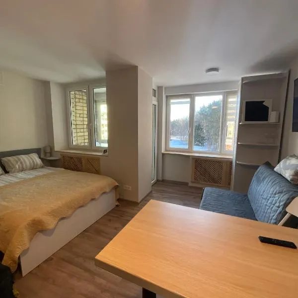 Гнёздышко, hotel din Visaginas