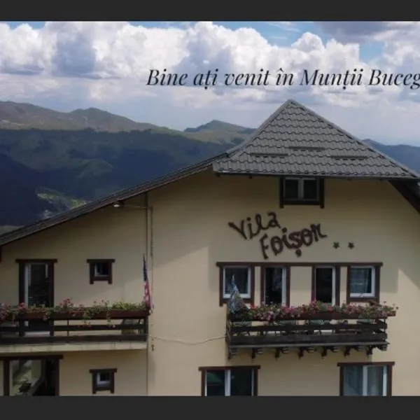 Villa Foisor, hotel v destinácii Buşteni