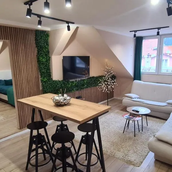 SA CITYCENTER Apartments, hotel di Sarajevo