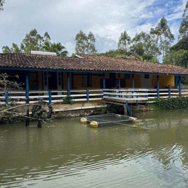 Sitio Emporio Paraiso