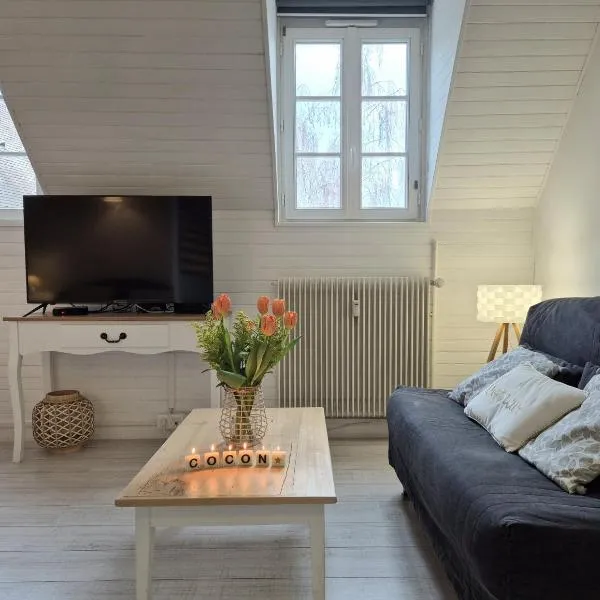 Le Cocon des Lumières Centre Chartres Parking, hotel in Chartres