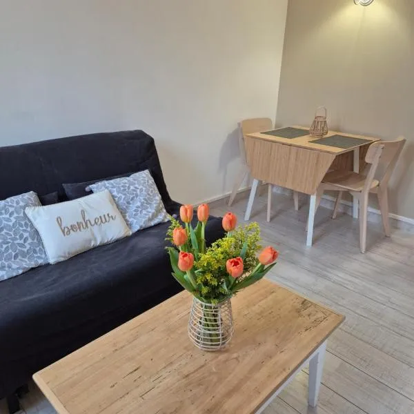 Le Cocon des Lumières Centre Chartres Parking, готель у місті Шартр