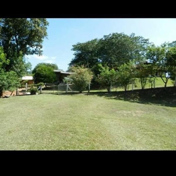BuenaVida - Foto 3