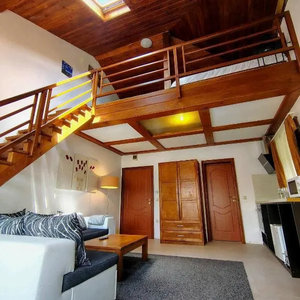 Цветелина и Митко โรงแรมในบันสโก