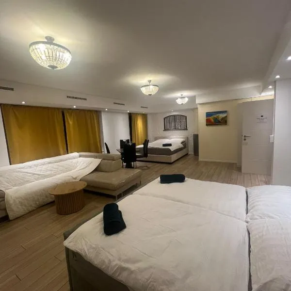 Central Living Brugg - View of Black Tower Apartment、ブルックのホテル