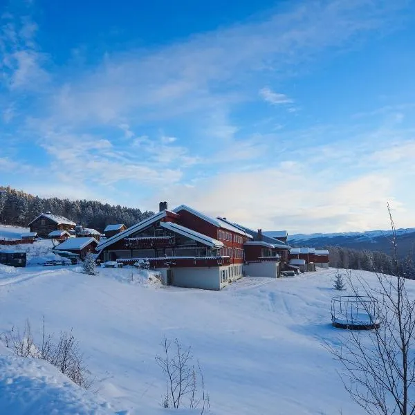 예일로에 위치한 호텔 Lia Fjellhotell