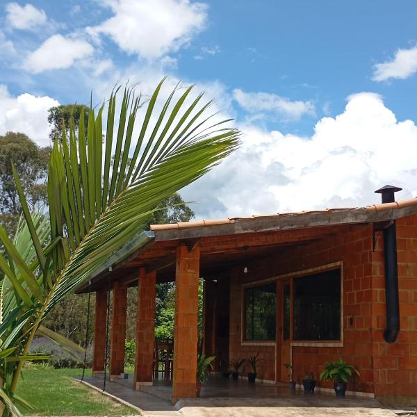 Refúgio do Horizonte Chalet - mountain view!