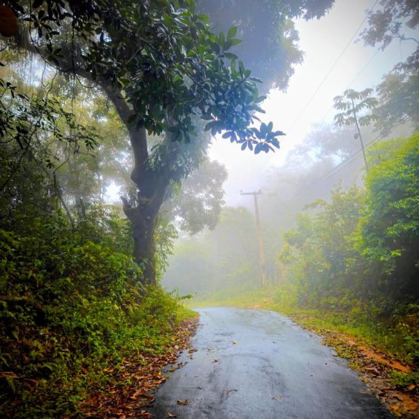 Sítio Maranatá, a mais bela vista do Pacoti! 20min de Guaramiranga! - Foto 3