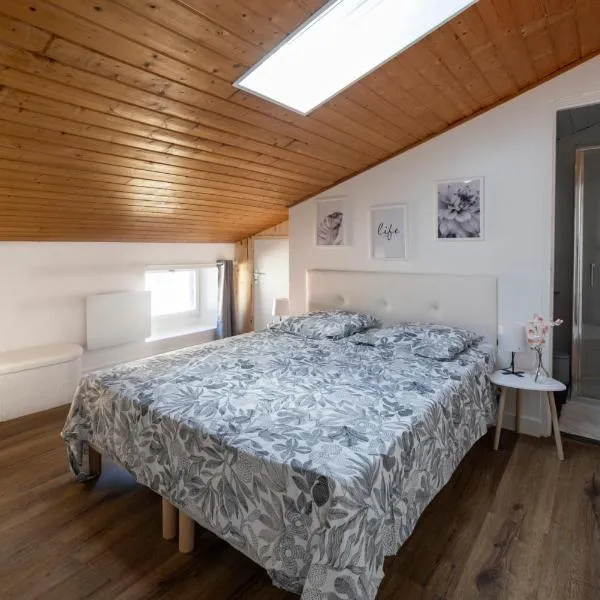 Duplex cosy à Mirepoix centre, tout confort, хотел в Мирпоа