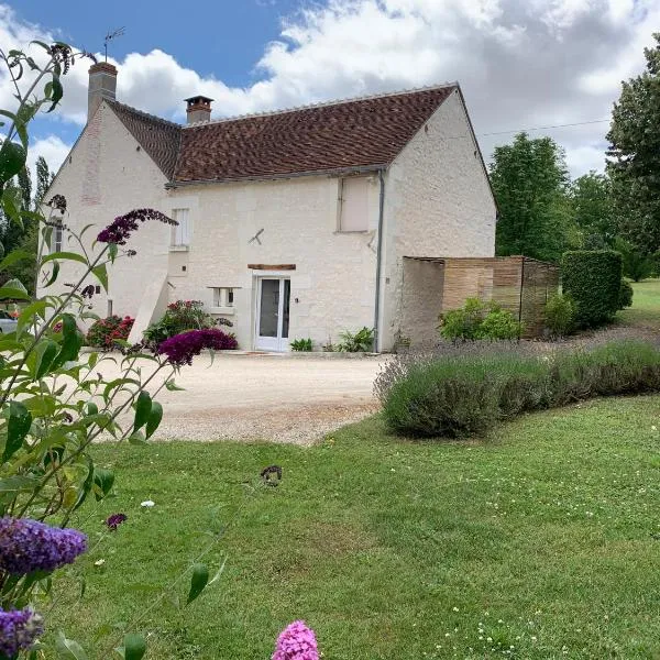 Gîte du Vignoux 10 min du Zoo Beauval, hotel en Couffy