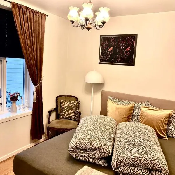 2 bedroom apartment historical downtown by the sea โรงแรมในโอเลซุนด์