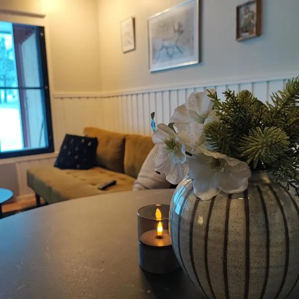 Talitintti Levi, 1 bedroom apartment, khách sạn ở Levi