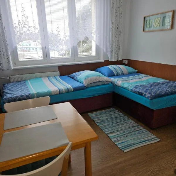 Apartmán pro dvě osoby Ostrov, hotel din Ostrov