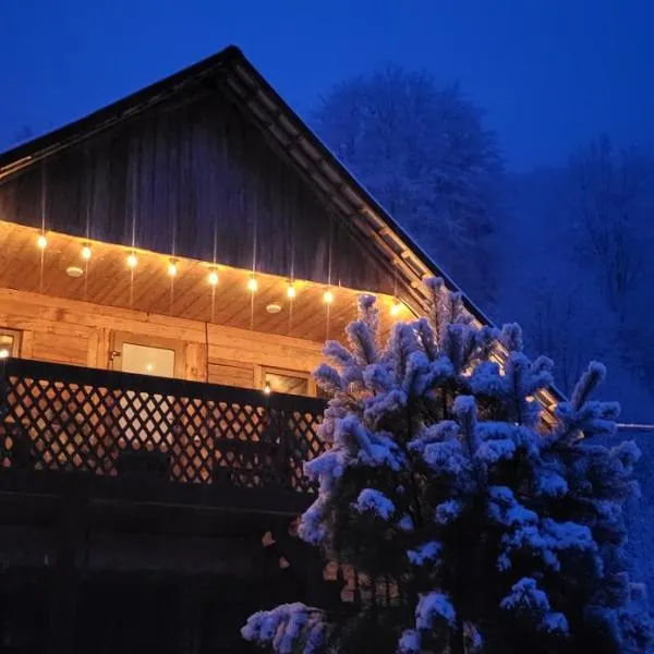 Під горою, готель у Шешорах