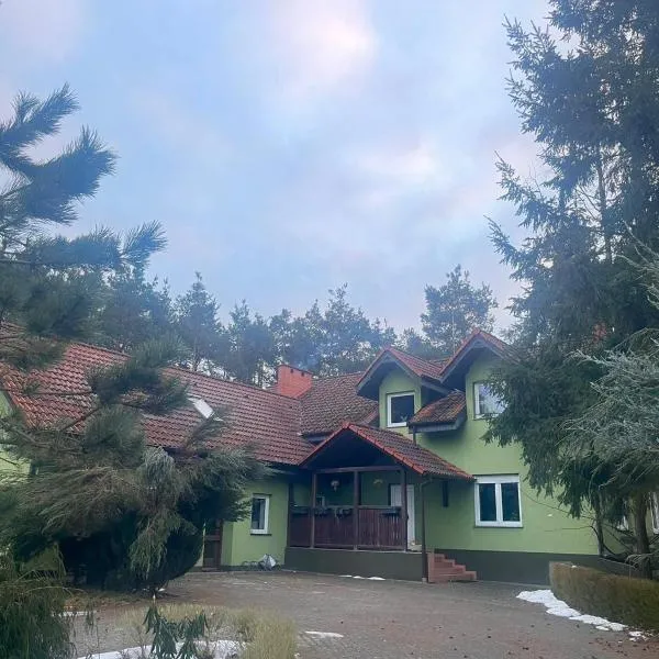 Viesnīca Agroturystyka OLD ROAD 11 pilsētā Niedźwiedź