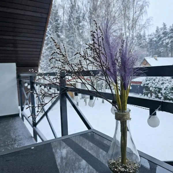 SAN ESCOBAR sauna jacuzzi jezioro, hôtel à Rogowo