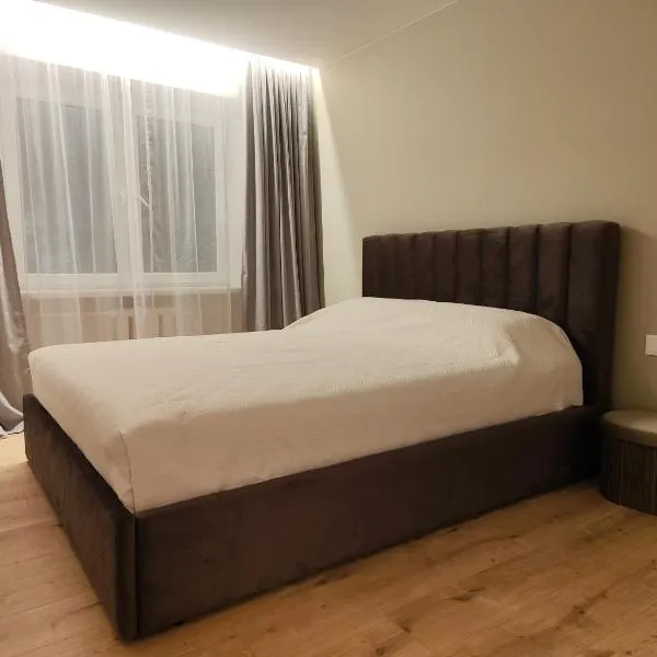 Manere commoda, Hotel in Šiauliai