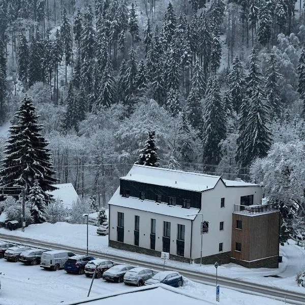 Apartmán 2 - Pstruží, hotel em Merklín
