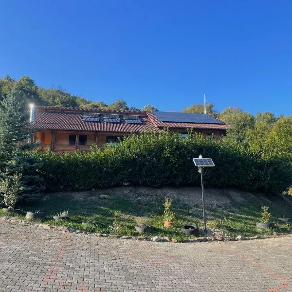 Pensiunea Mihaiu Sasului, хотел в Vîrciorog