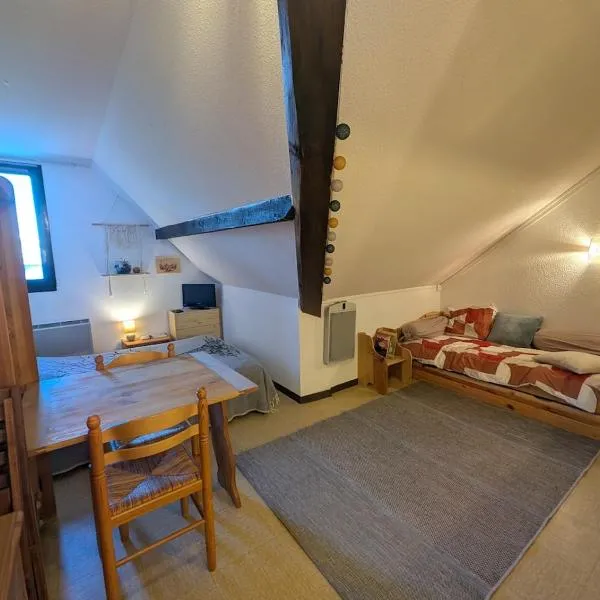 Studio pied des pistes、レアロンのホテル