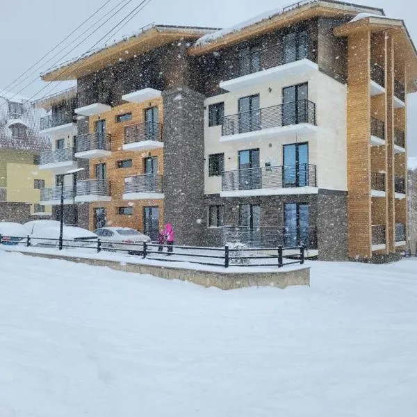 Bakuriani apartment, hotel i Bakuriani