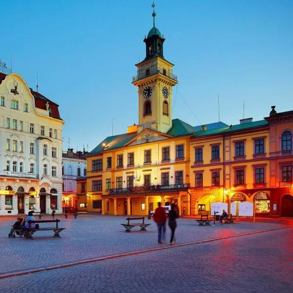 Cieszyński Aparthotel Stare Miasto، فندق في تشيشين