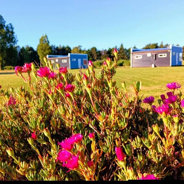 Entre Pinos y Volcanes, hotel u gradu 'Frutillar'