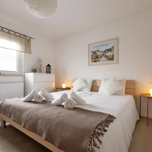 Apartma Jana, hotel in Žirovnica