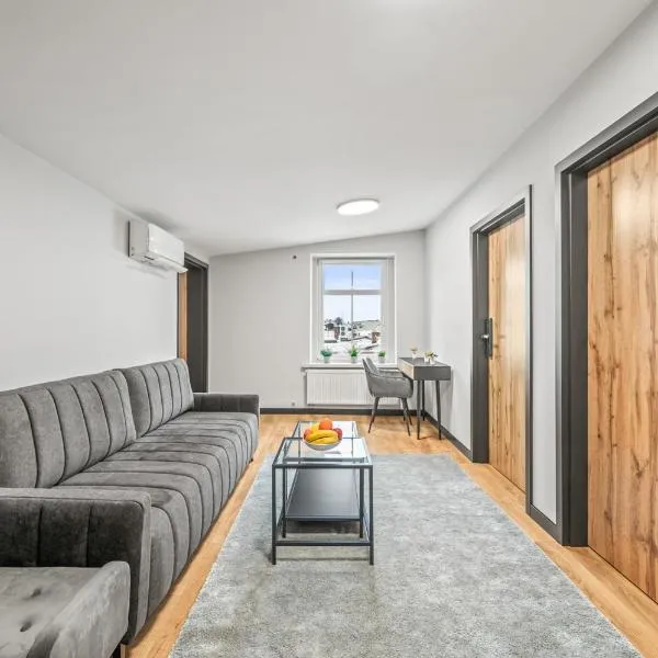 Family de Luxe Apartment - 80m2 - Klimatyzacja - 6 osób -, Hotel in Rybnik