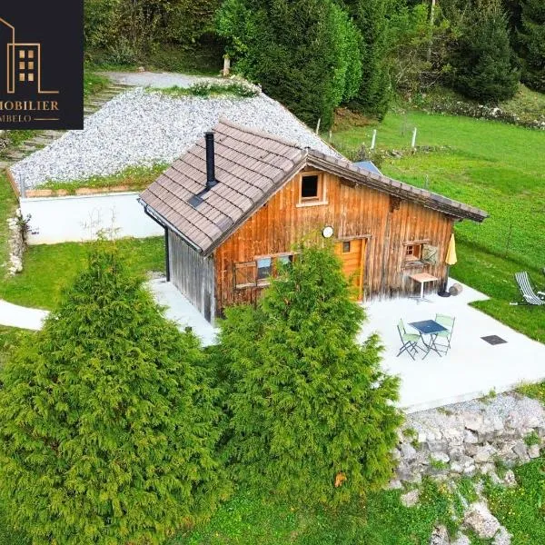 Petit chalet en bois avec mezzanine en montagne, hotel em Marignier