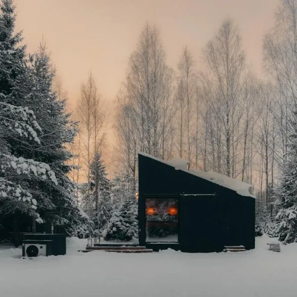 리개튼에 위치한 호텔 Briežu Stacija Forest Cabin with Hot Tub