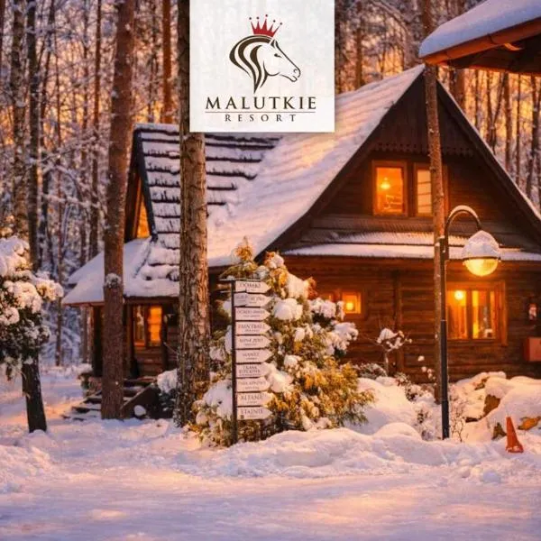 Klimatyczne Domki - Całoroczne, hotel em Radomsko