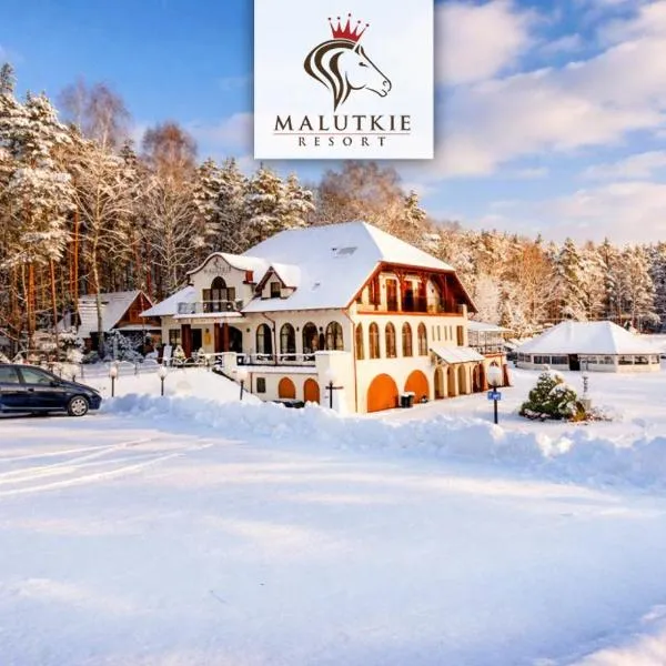 Malutkie Resort, ξενοδοχείο σε Radomsko
