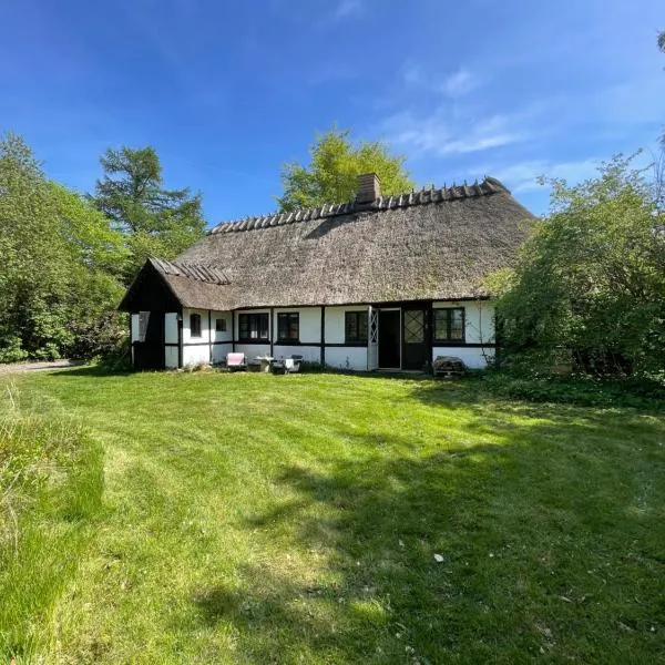 Guest house Æbelnæs, Møn, hotel en Stege