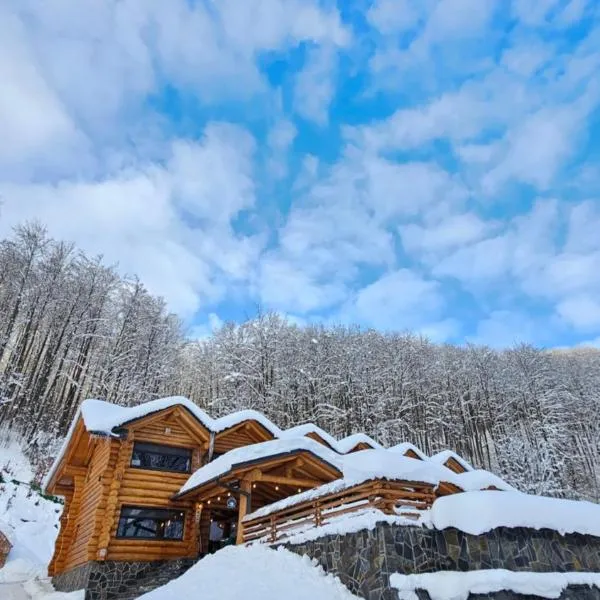 Barlogul Ursului, ξενοδοχείο σε Baia Mare