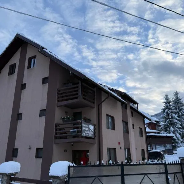 Pensiunea Valea Galbenei, hotel di Arieseni