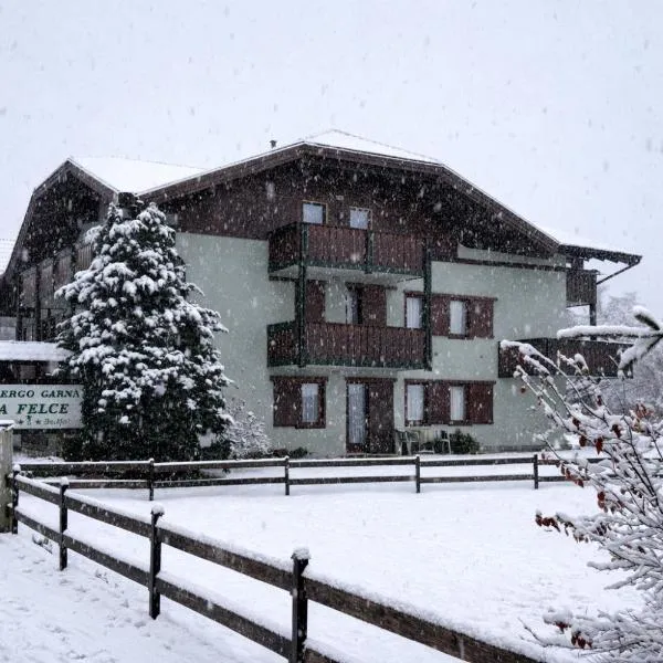 Chalet La Felce, готель у місті Карізоло