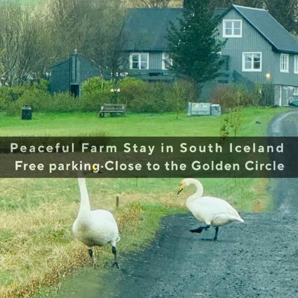 Ásgarður Farm Stay apartment, ξενοδοχείο στο Σέλφος