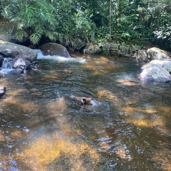 Chalé aconchegante em Resende - Foto 2