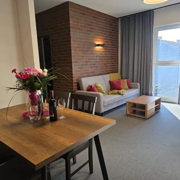 Loft Grojec Apartments, hotel in Żywiec